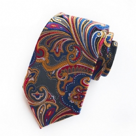 Företag Paisley Tie For Man