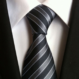 Företag Stripe Paisley Tie For Man