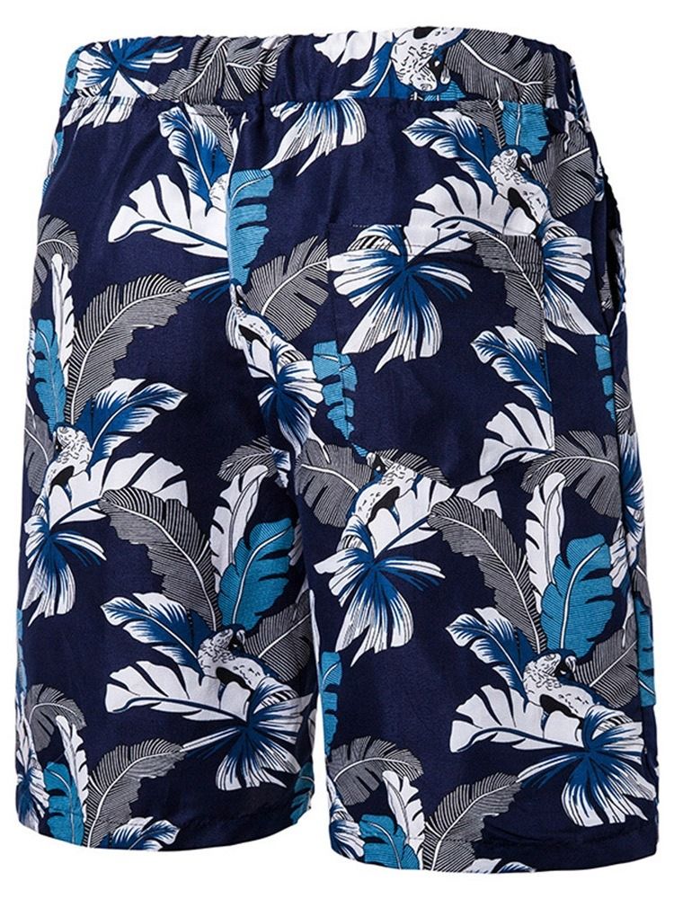 Print Plant Casual Lace-Up Casual Shorts För Män