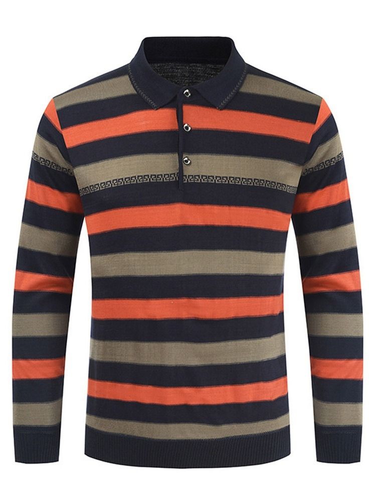 Randig Polo Neck Standard European Spring Sweater